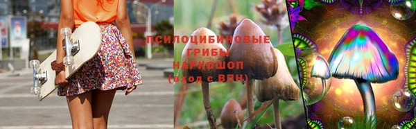 бошки Майский