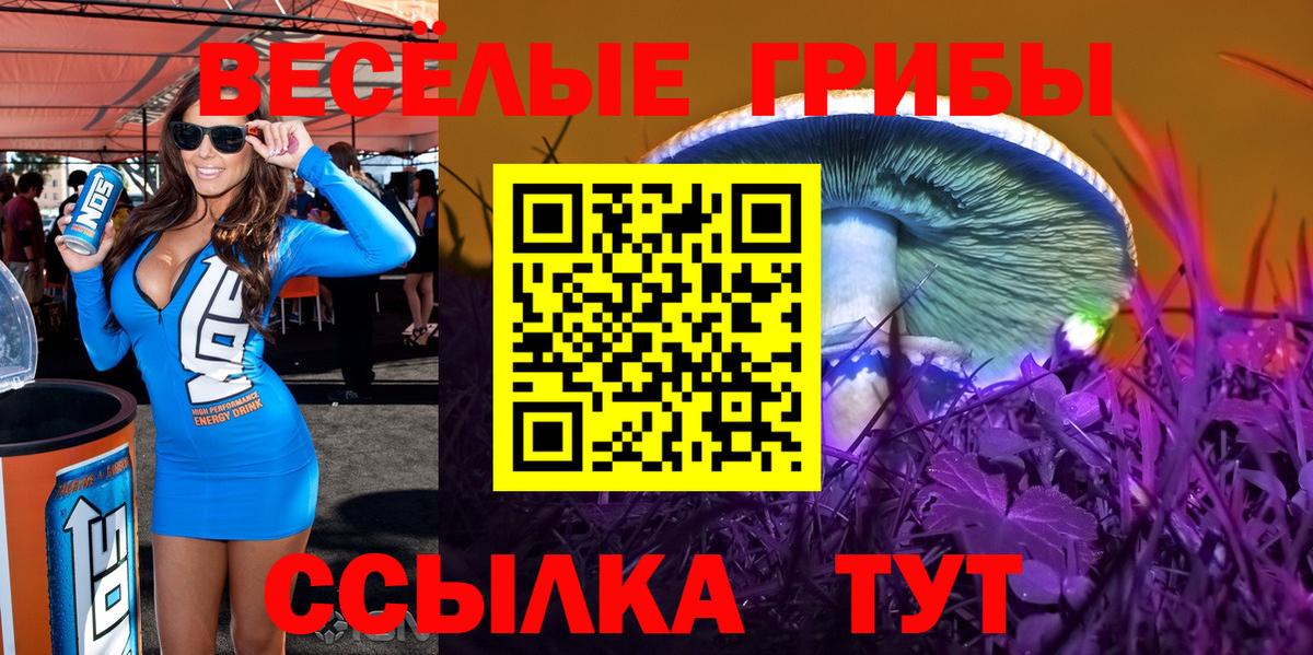 Сухой Лог  Псилоцибиновые грибы Magic Shrooms  Вход с VPN 